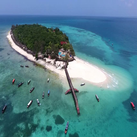 1 day Prison island tour in Zanzibar